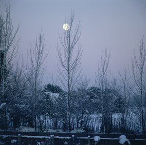 Crépuscule